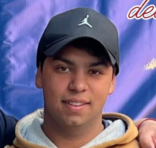 Vicente bustos